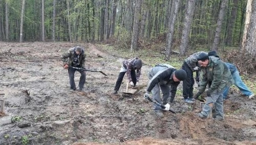 Nadleśnictwo Ostrowiec Św. włączyło się w ogólnopolską akcję „Sadzimy 1000 drzew na minutę”